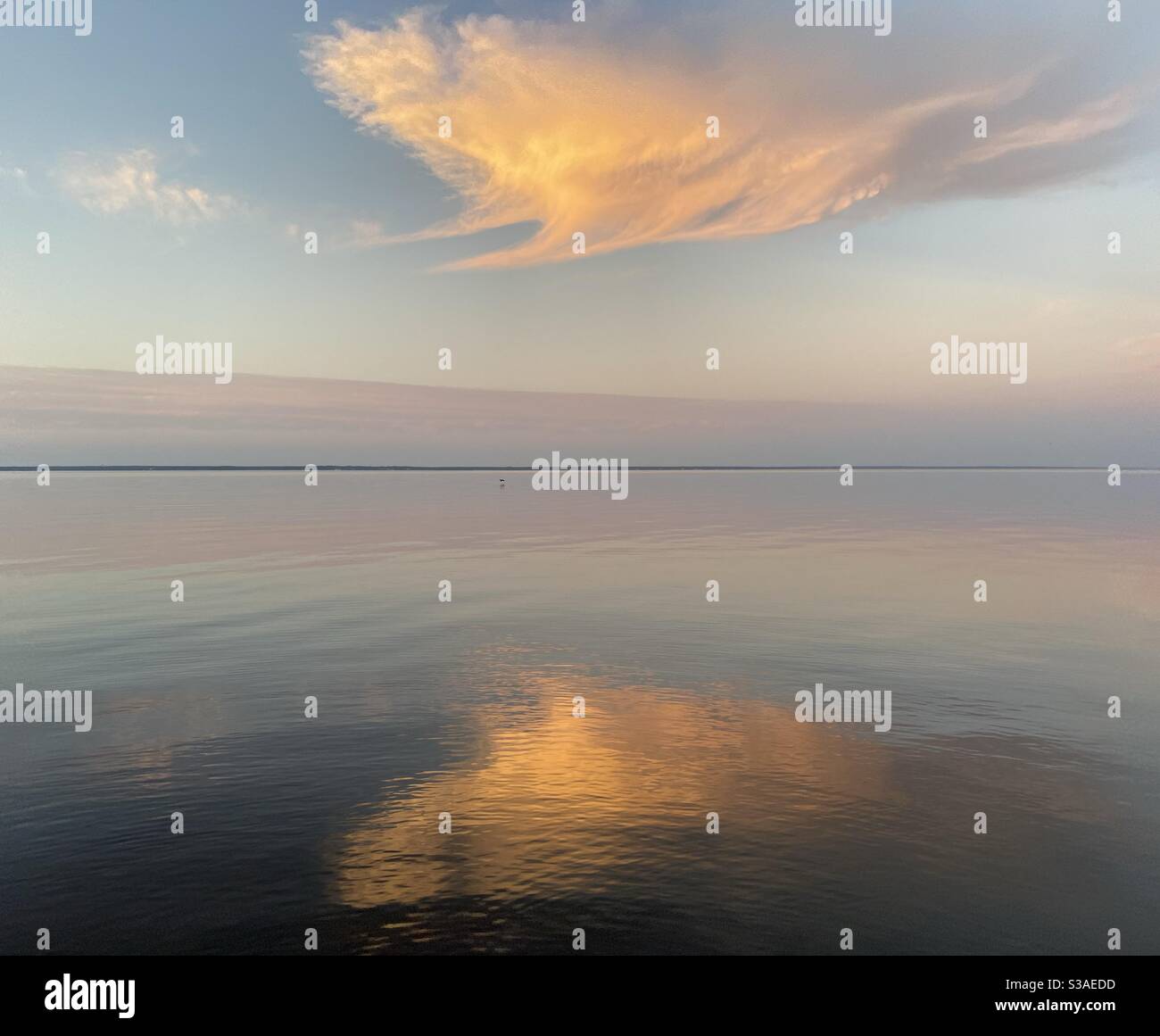 Colorful cloud reflecting on to calm bay water with a pelican flying low in the distance at sunset - Smartphone Captured Stock Image