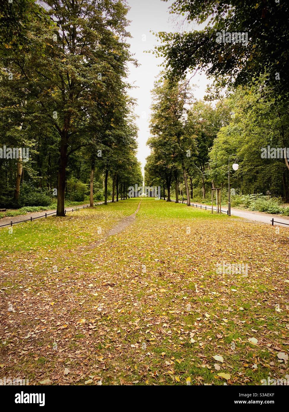 Fallen Leafs cover a walking path in a park. Berlin, Germany. - Smartphone Captured Stock Image