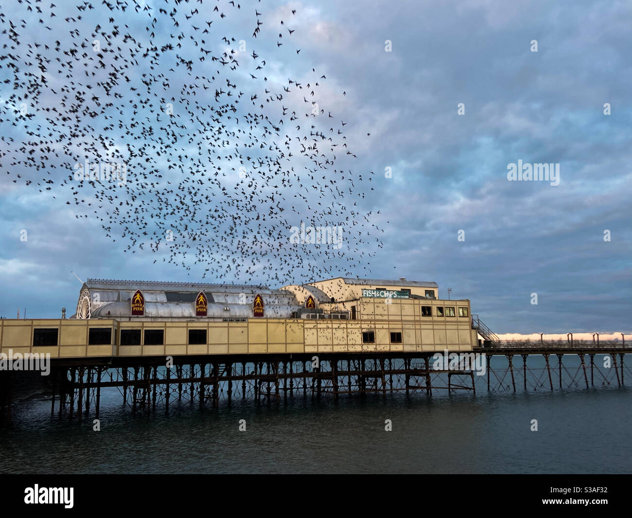 Aberystwyth, West Wales, UK. Friday 16th October 2020. Weather: starlings burst out from under the cast iron legs of The Royal Pier in Aberystwyth. Photo Credit ©️ Rose Voon / Alamy Live News Stock Photo