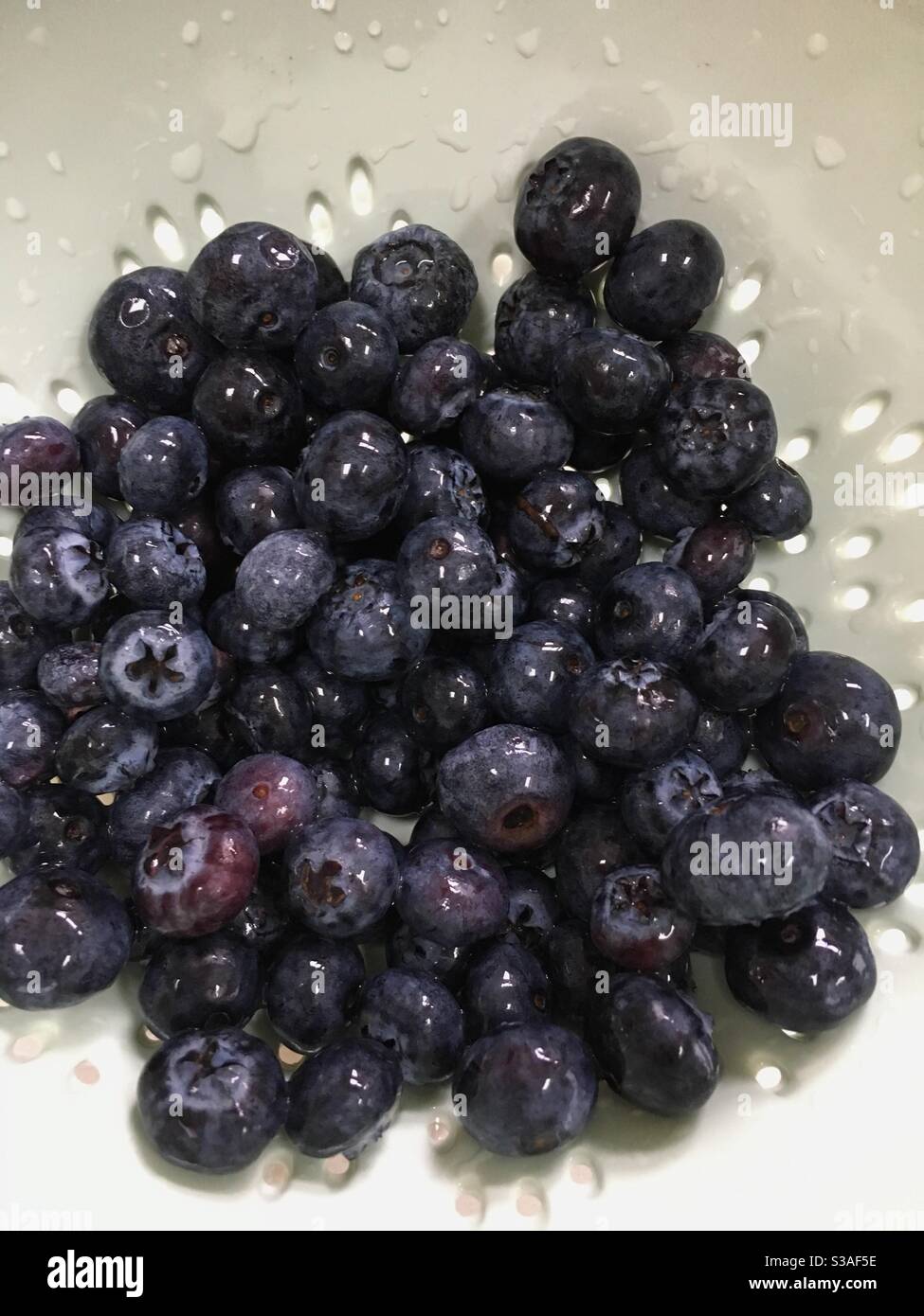 Blueberries washed in a colander - Smartphone Captured Stock Image