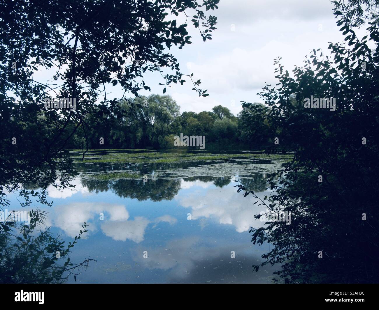Sky and woodland reflecting on the surface of lake. - Smartphone Captured Stock Image