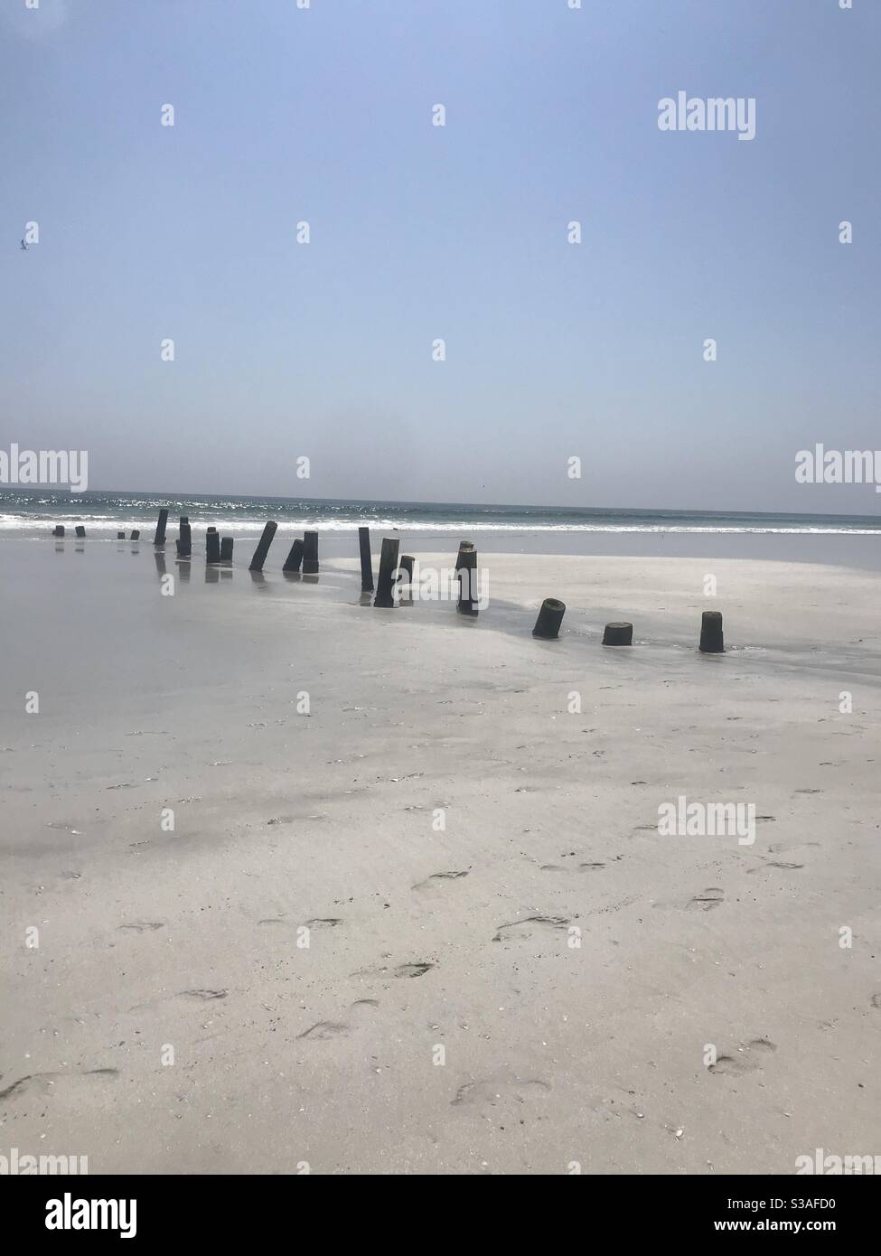 Wooden poles in the water in Salalah, Oman - Smartphone Captured Stock Image