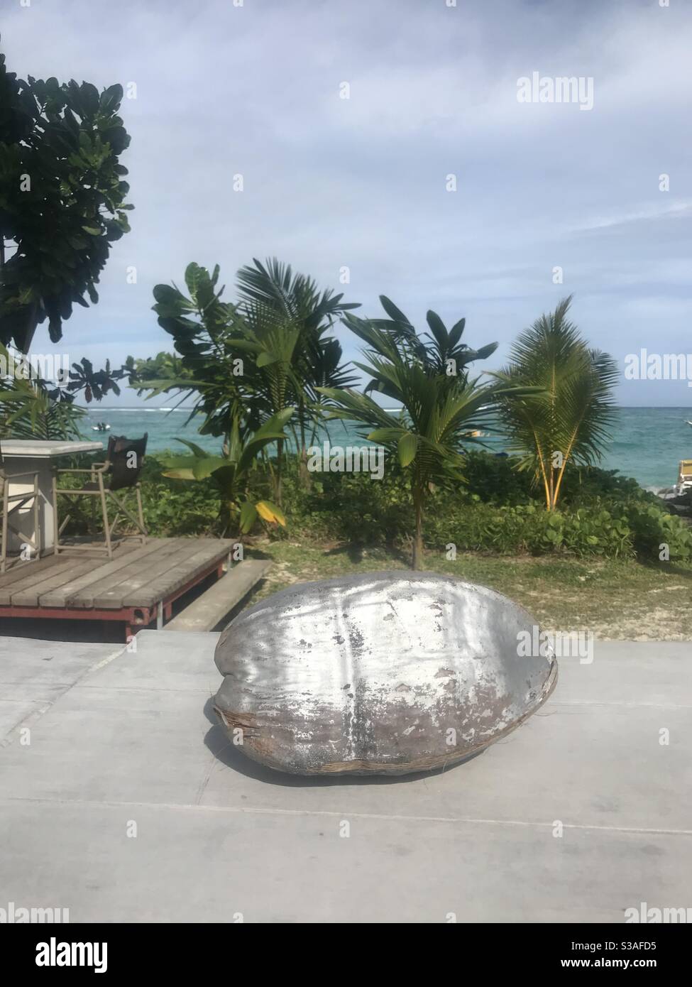 Silver painted coconut shell on a table overlooking the sea in the Seychelles - Smartphone Captured Stock Image