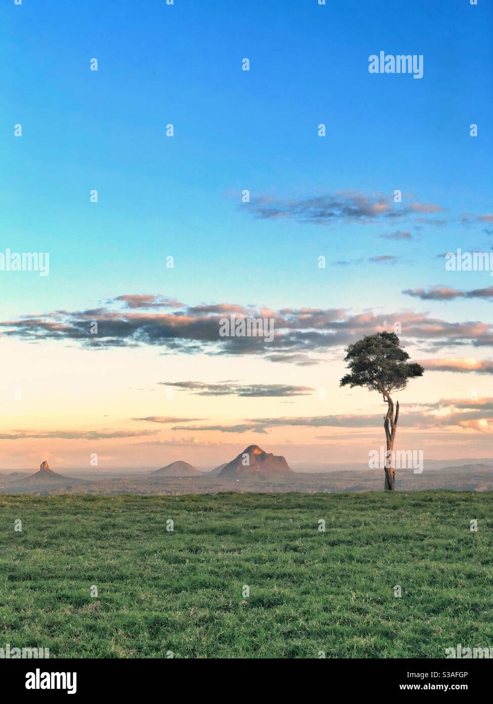One Tree Hill Maleny Glasshouse Mountains Queensland Lone Tree Stock Photo
