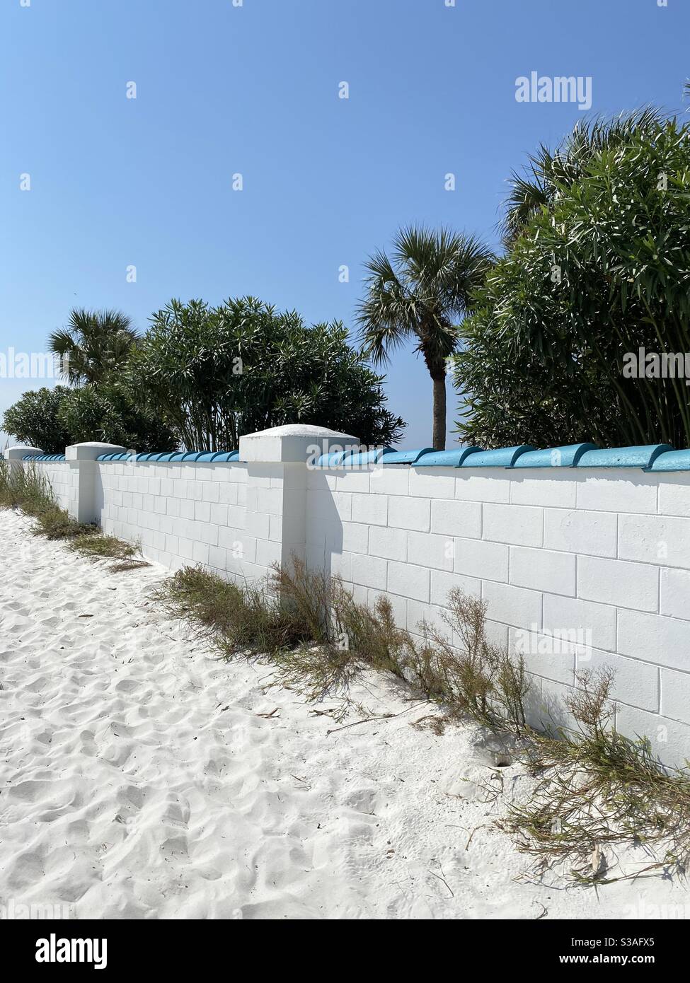 Long white concrete wall with tropical trees on white sand beach - Smartphone Captured Stock Image