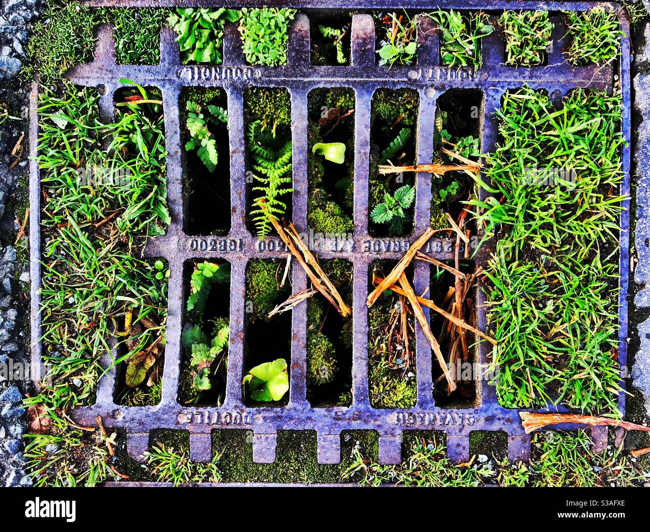Old street drain grate. County Donegal, Ireland Stock Photo Alamy