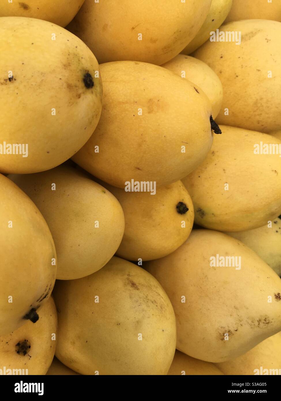 These ripe, yellow mangoes are displayed along the road in Liloan, Cebu