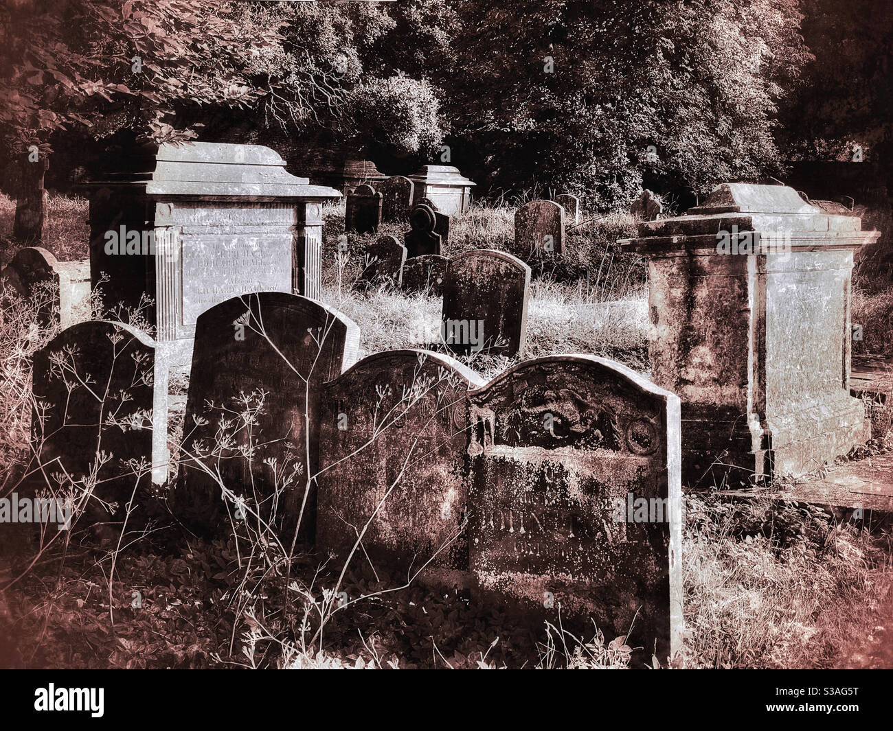 A moody and atmospheric image of an English graveyard. Lots of tombstones dating back centuries. Photo Credit - ©️ COLIN HOSKINS. - Smartphone Captured Stock Image