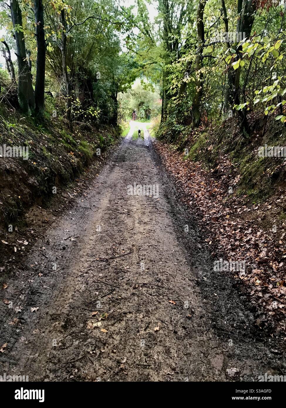 Light countryside hi-res stock photography and images - Alamy