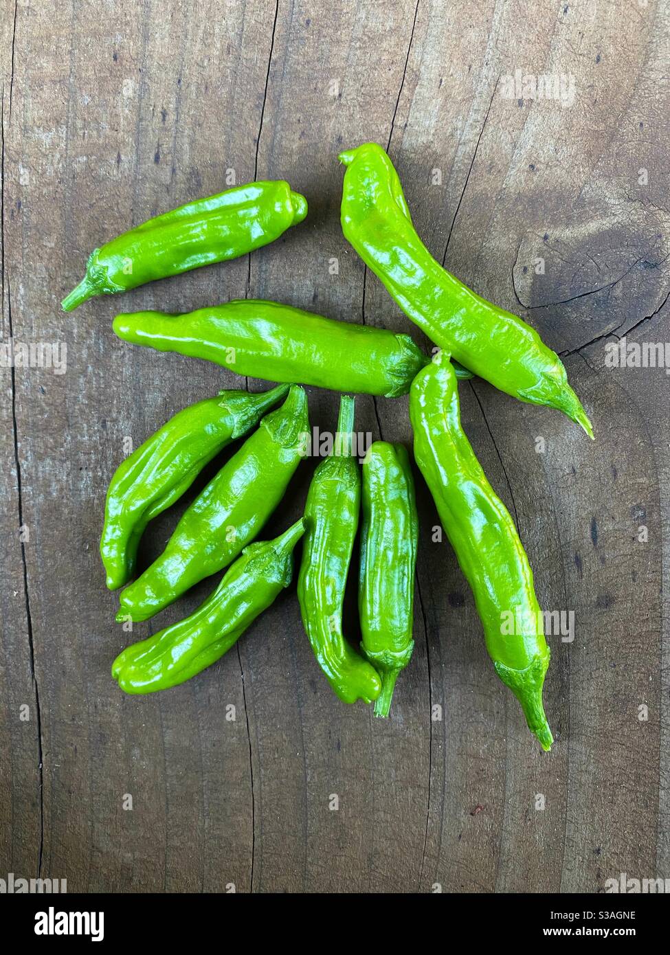 Fresh padron peppers on a wooden plank - Smartphone Captured Stock Image