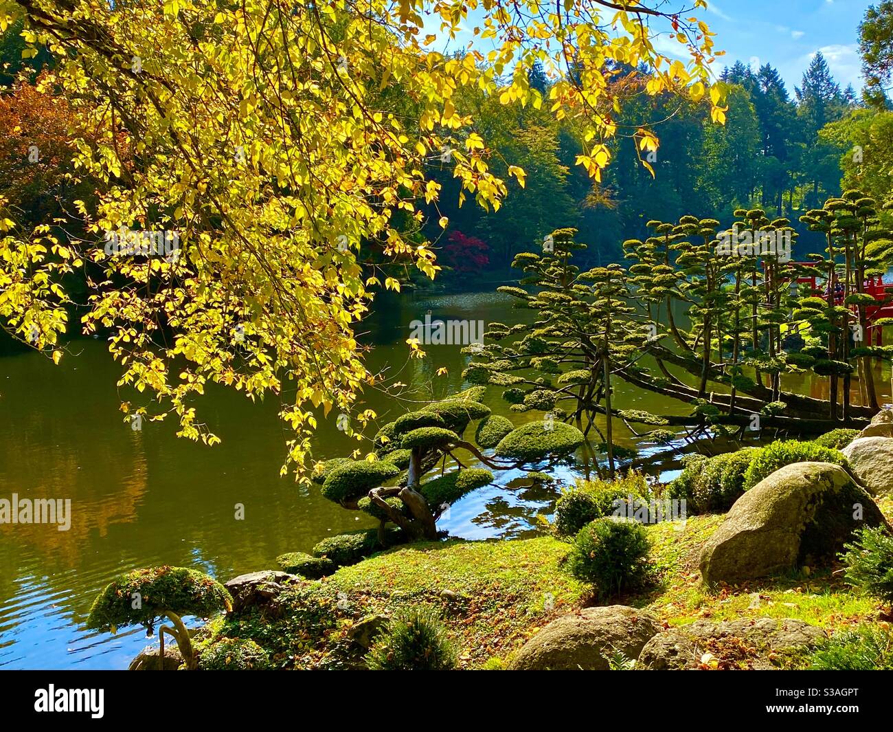 Oriental gardens Maulevrier France - Smartphone Captured Stock Image