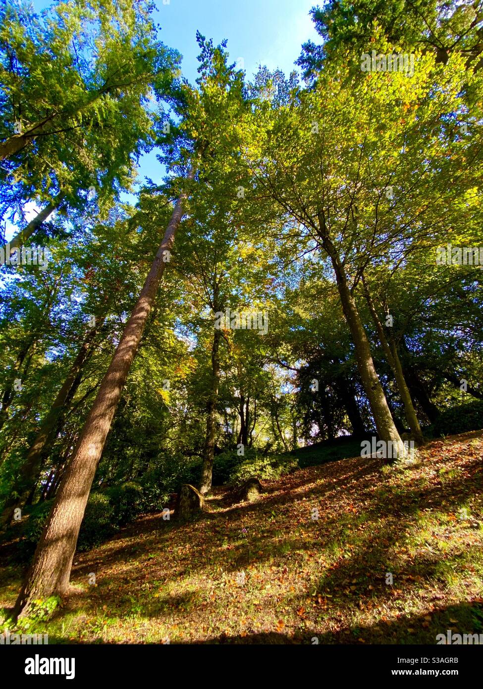 Oriental gardens Maulevrier France Stock Photo