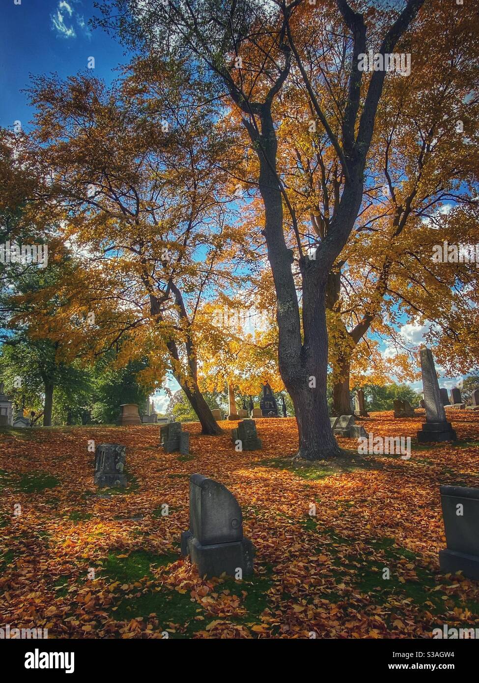 Graveyard on a fall day Stock Photo