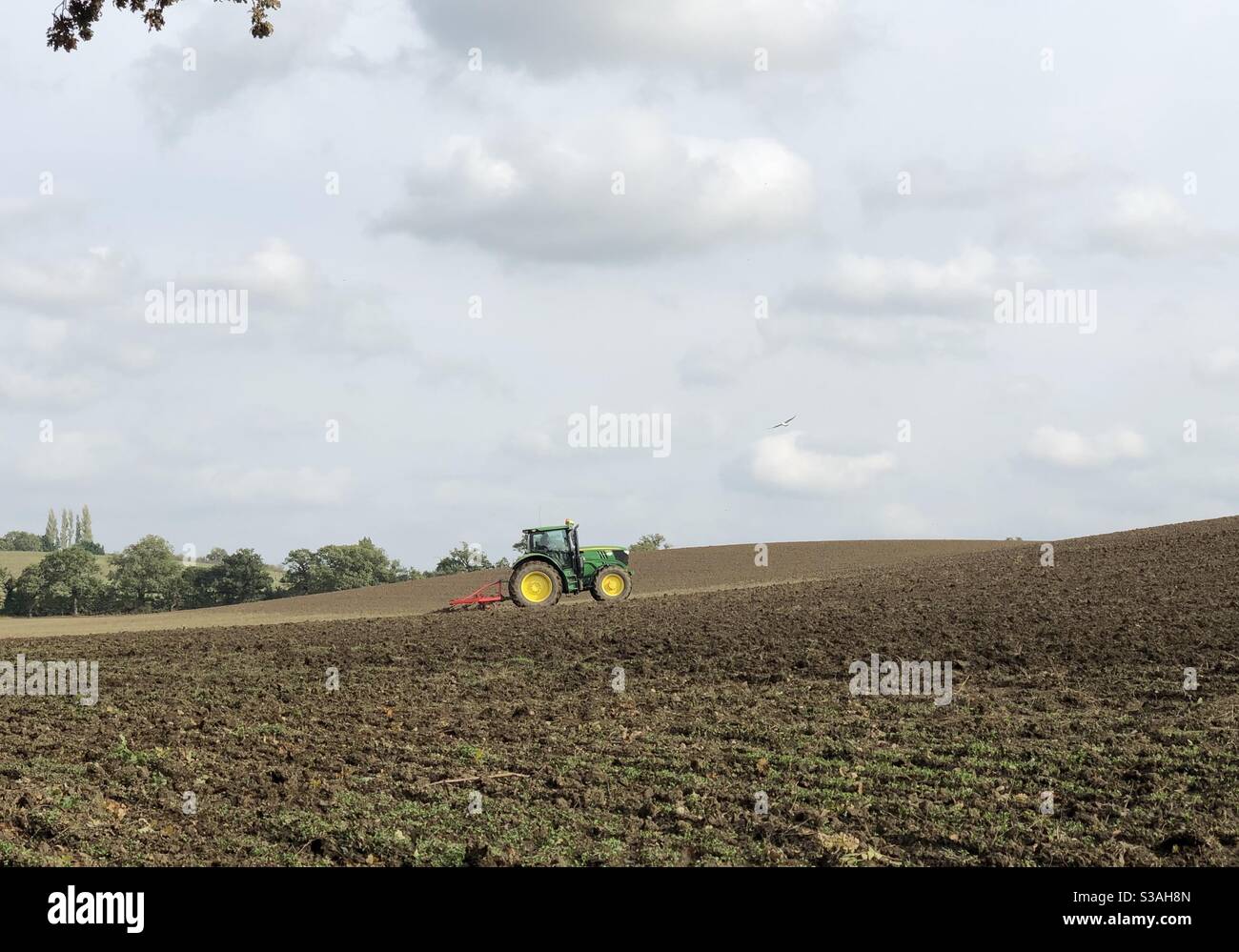 Farmer’s field. Preparing for next season. Stock Photo