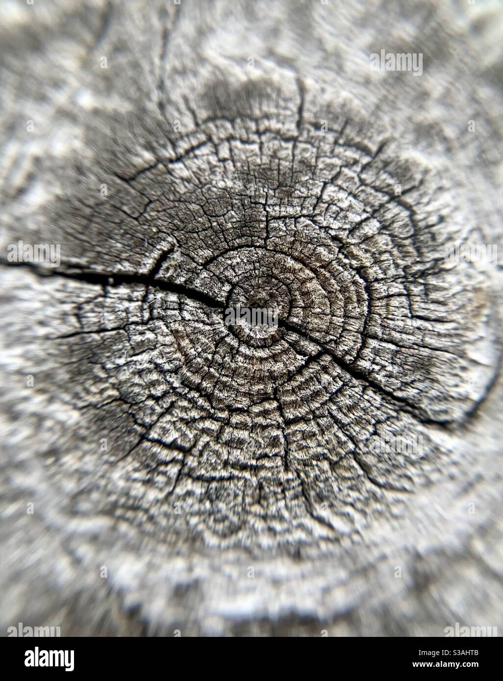 Close-up of a knot in a wooden fence. - Smartphone Captured Stock Image