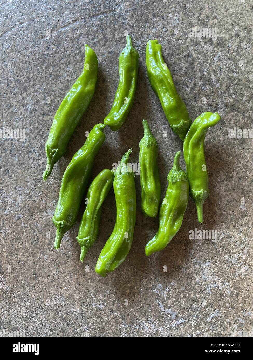 Shishito or padron peppers on a stone tile - Smartphone Captured Stock Image