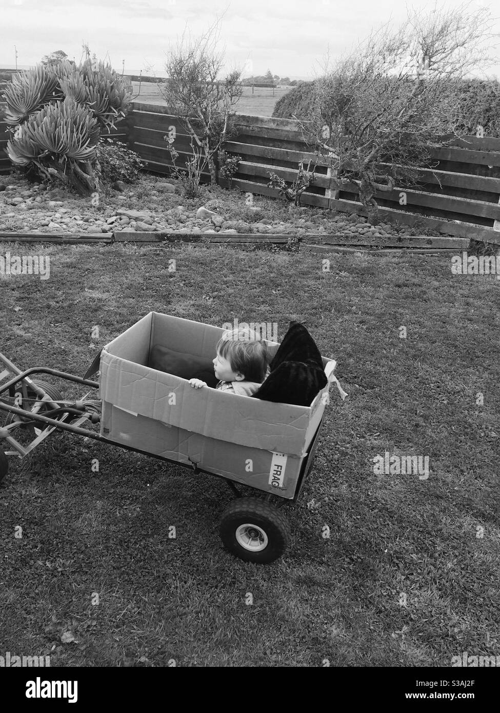Make do cart in black and white Stock Photo