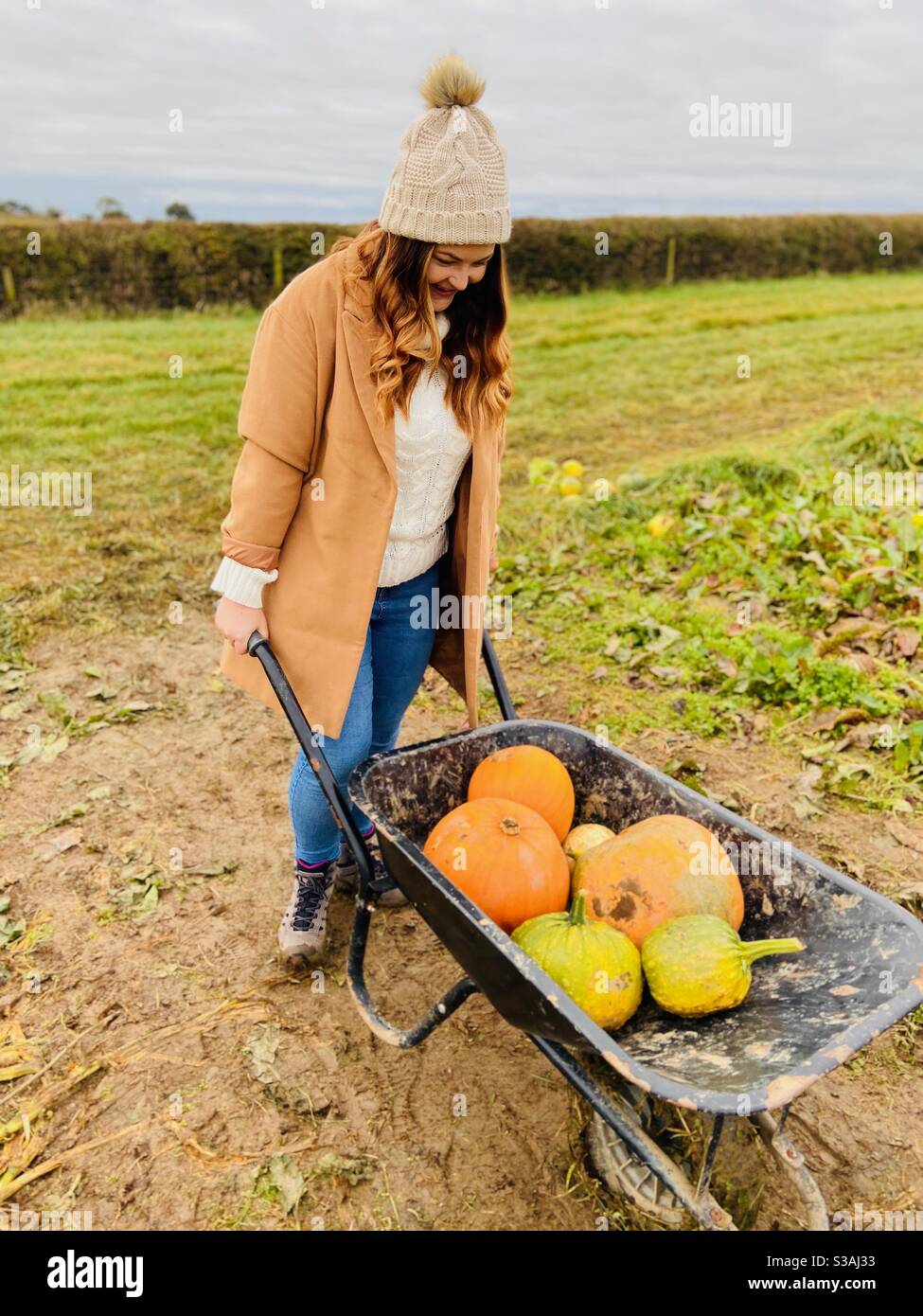 This was taken at a local pumpkin patch near Darlington in the UK. Stock Photo