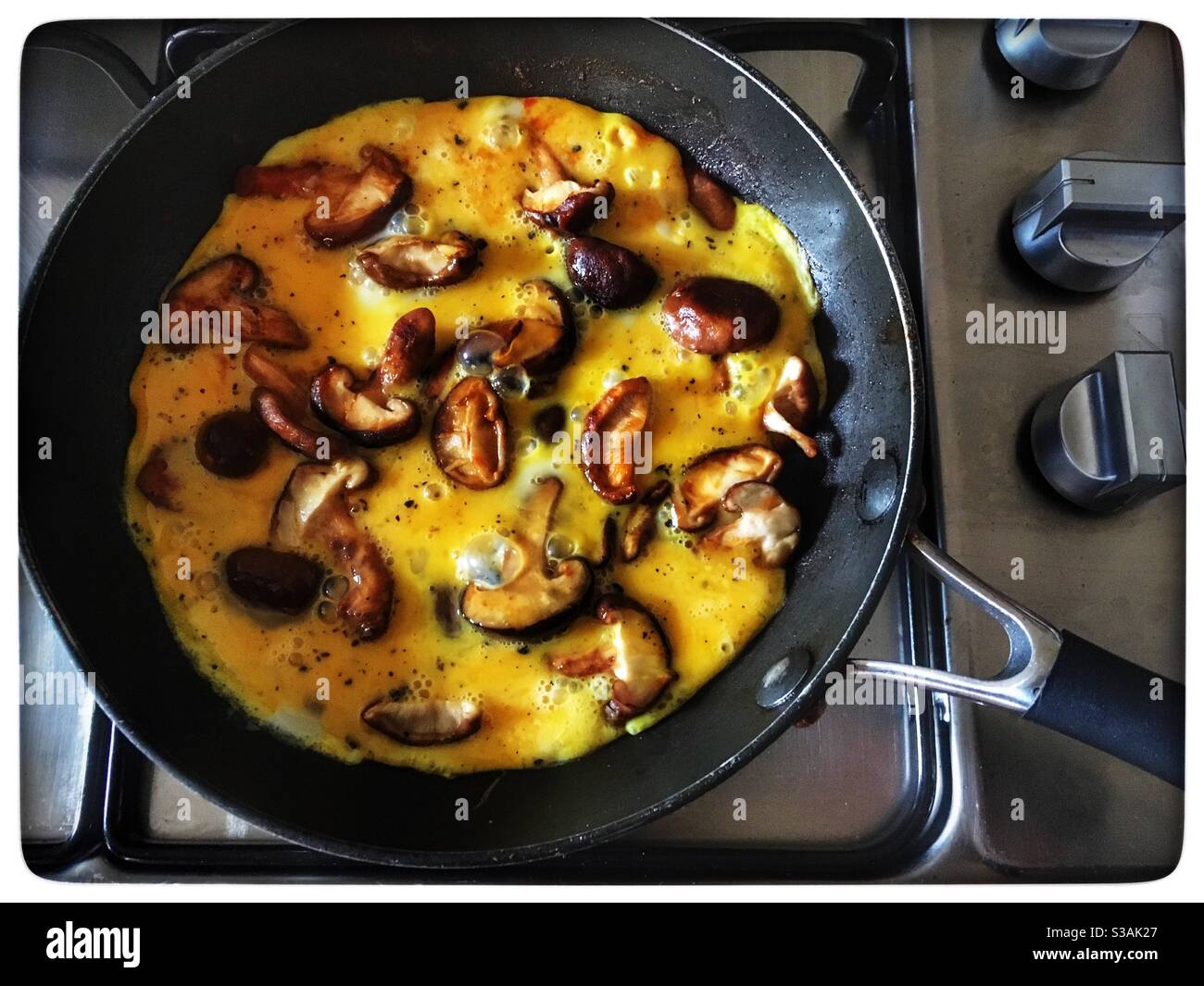 Shiitake mushroom omelette Stock Photo Alamy
