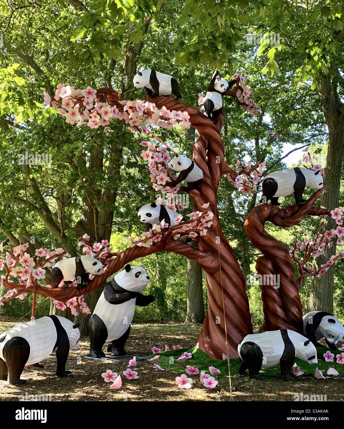 Huge inflatable, beautiful Panda display with cherry blossoms! Stock Photo