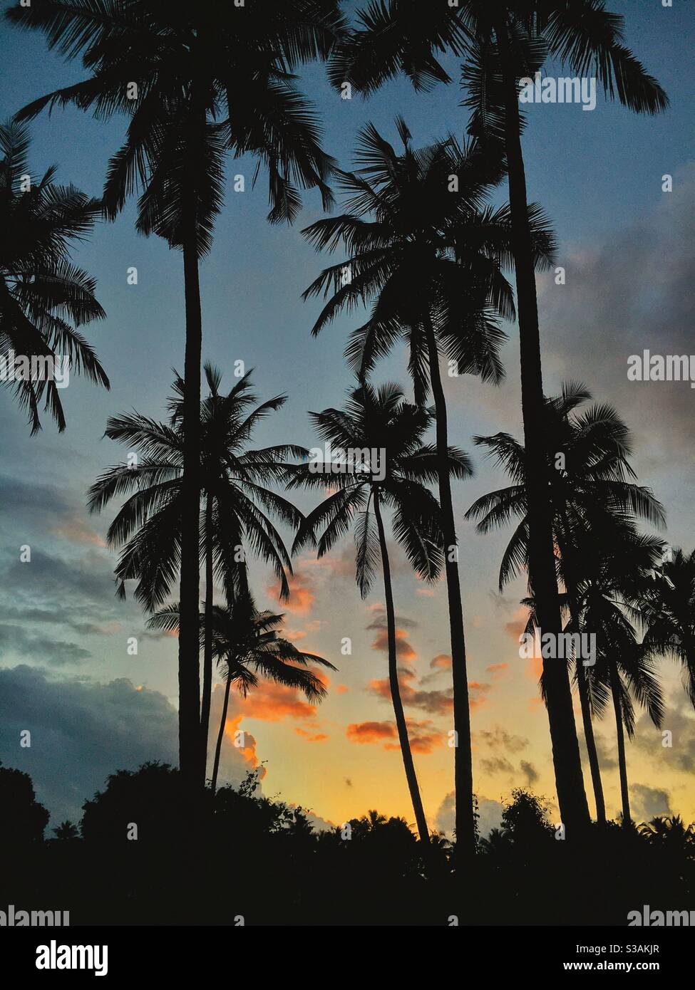 Evening sky beauty hi-res stock photography and images - Alamy