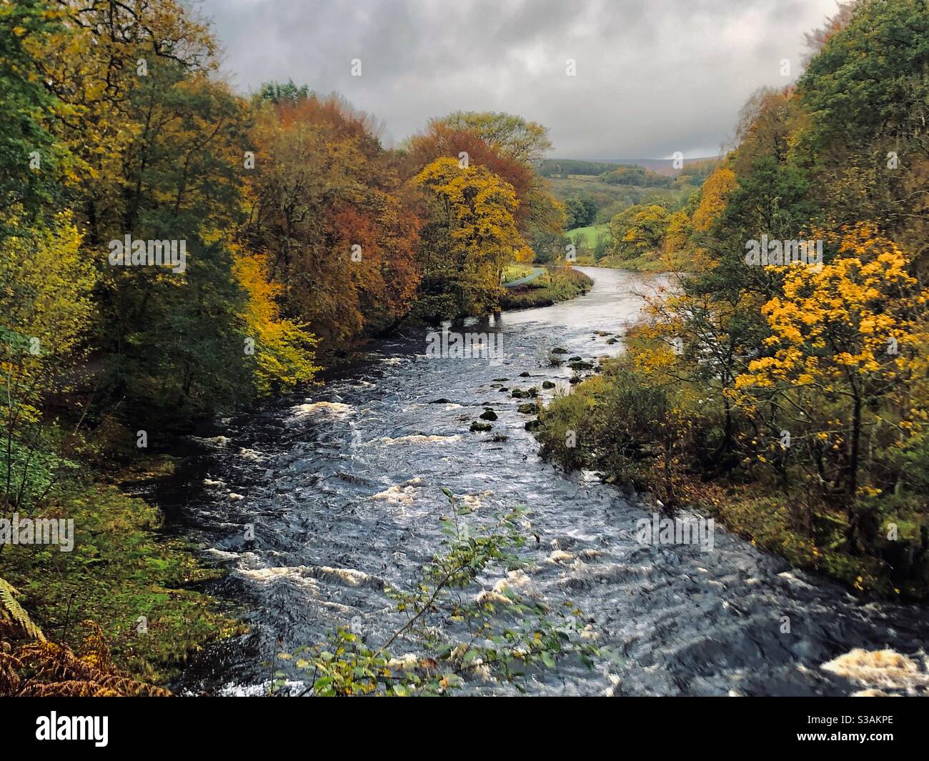 Awesome autumn in Yorkshire Stock Photo