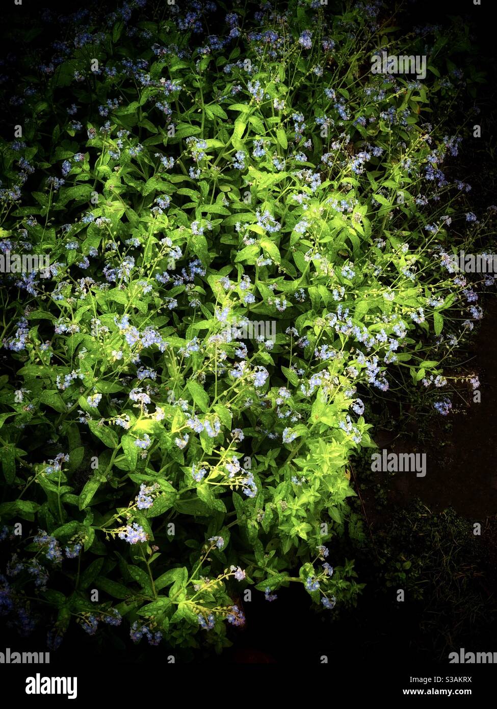 It Is Vertically Rectangular Format Photo Image Taken In Oakland Hi Res Stock Photography And Images Page 23 Alamy