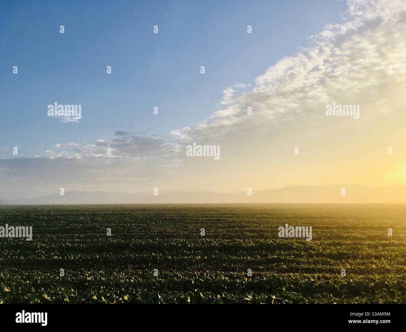 Jeseniky - Smartphone Captured Stock Image