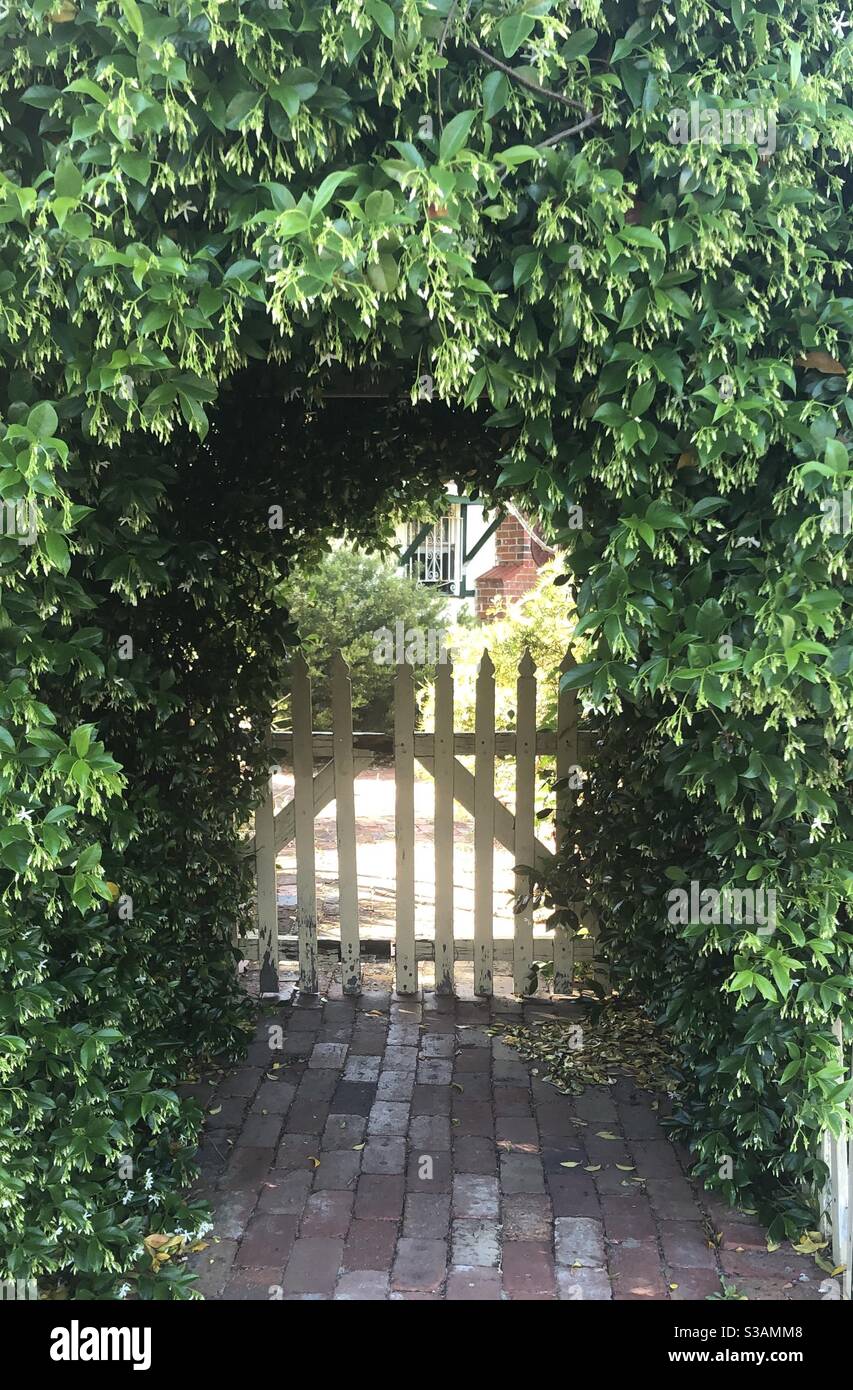 Leafy garden arch with a brick path and a white wooden picket fence Stock Photo