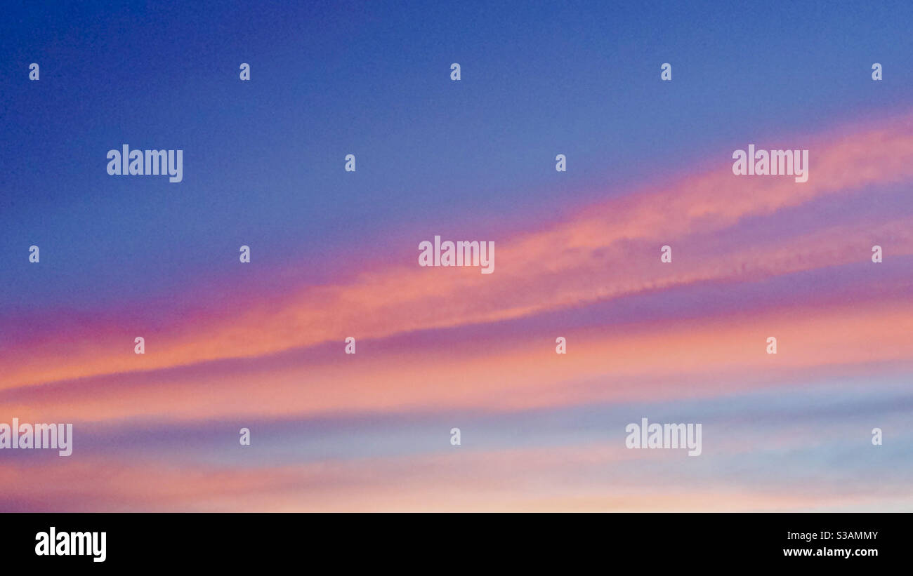 Beautiful streaks of pink and orange, long rolls of glowing clouds across a blue sky at sunset. Could be background fir presentation with space for text - Smartphone Captured Stock Image