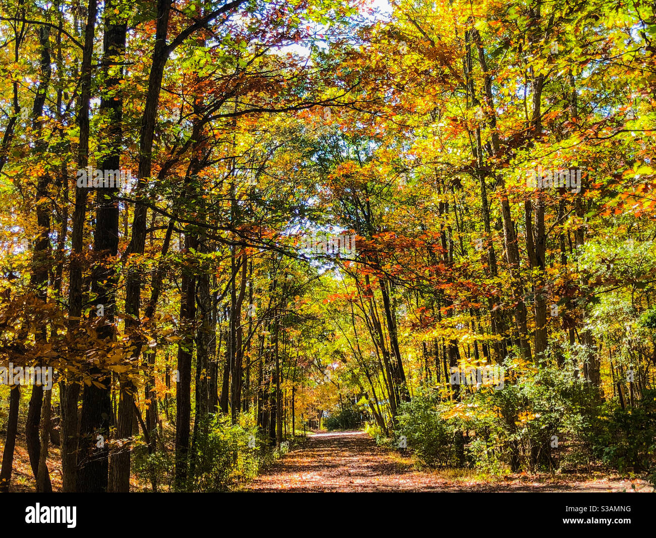 autumn in Rocky Gap State Park in Western Maryland Stock Photo Alamy