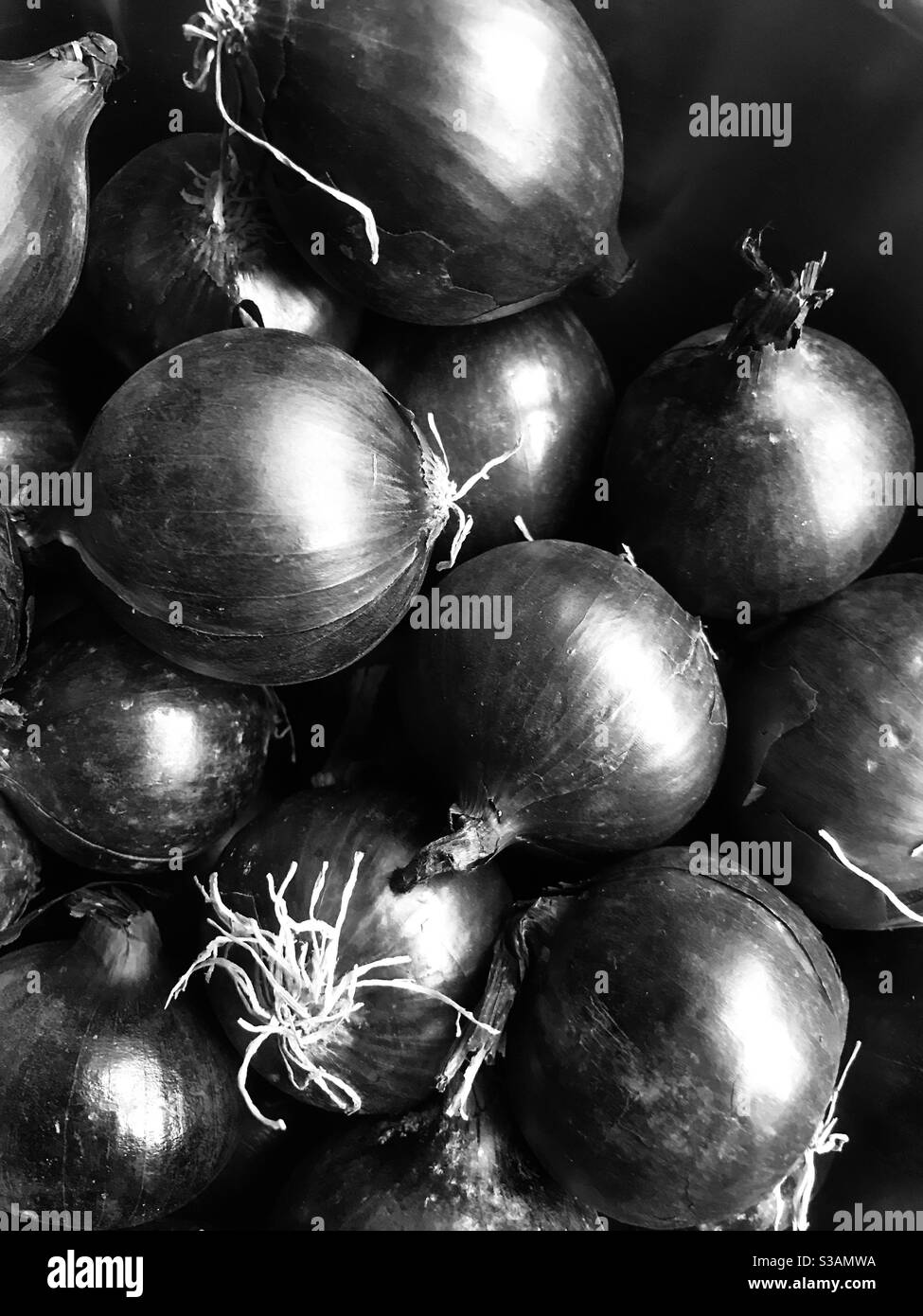 Onions Black and White Stock Photos & Images Alamy