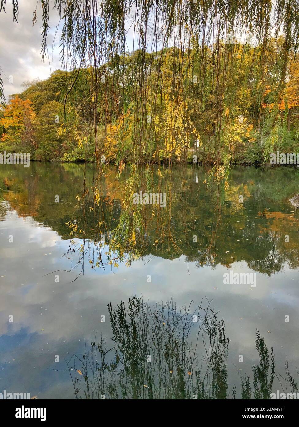 Reflections in the water. Stock Photo
