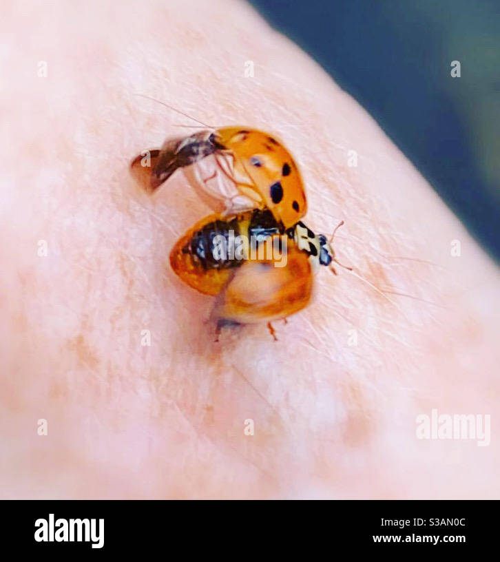 Take off! - Smartphone Captured Stock Image