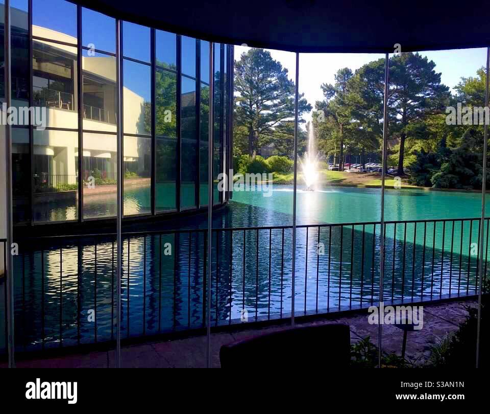 Reflections in the pool - Smartphone Captured Stock Image