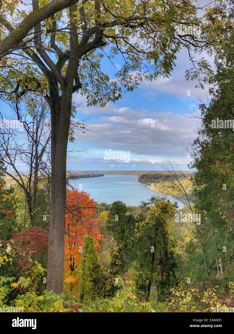 Beautiful autumn landscape. - Smartphone Captured Stock Image