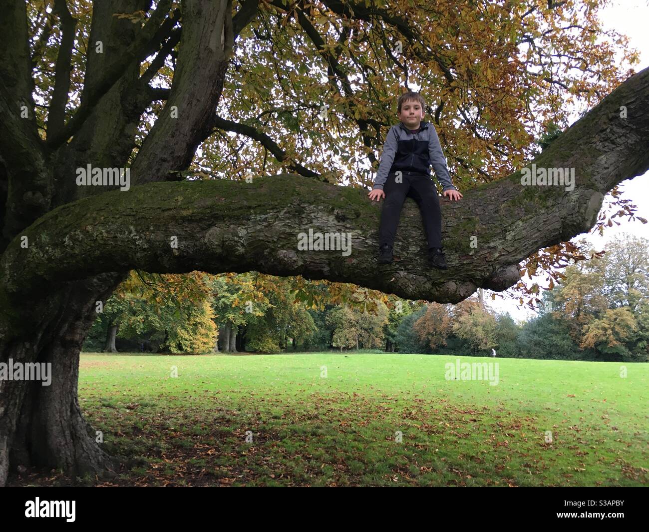 Really Hard To Ge Tip High Resolution Stock Photography And Images Alamy Really Hard To Ge Tip High Resolution Stock Photography And Images Alamy