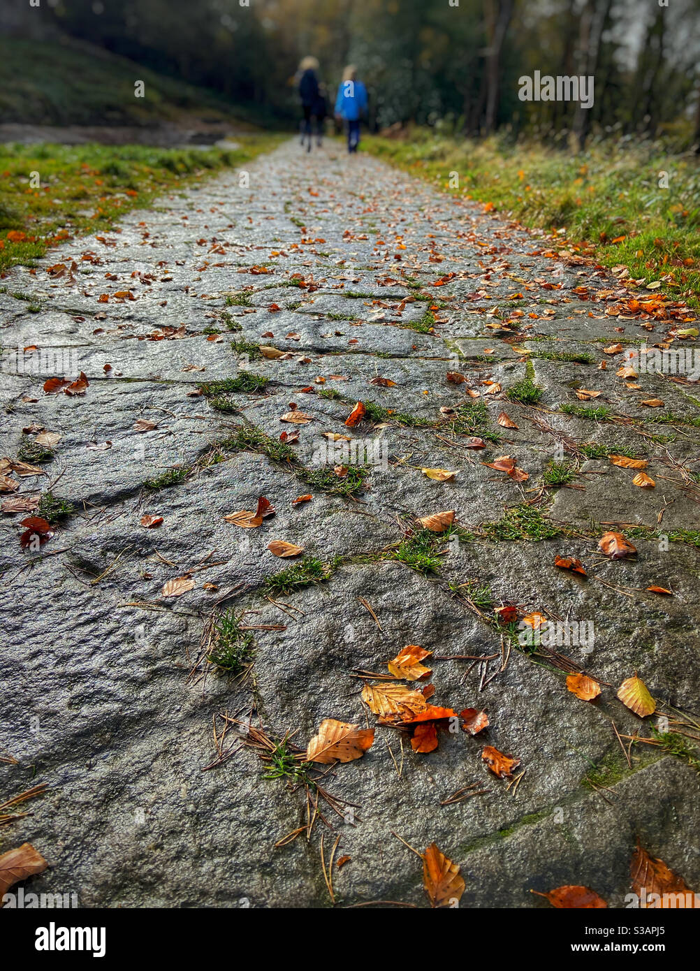 Wet Stone path at Rivington covered in autumn leaves with walkers in the distance - Smartphone Captured Stock Image