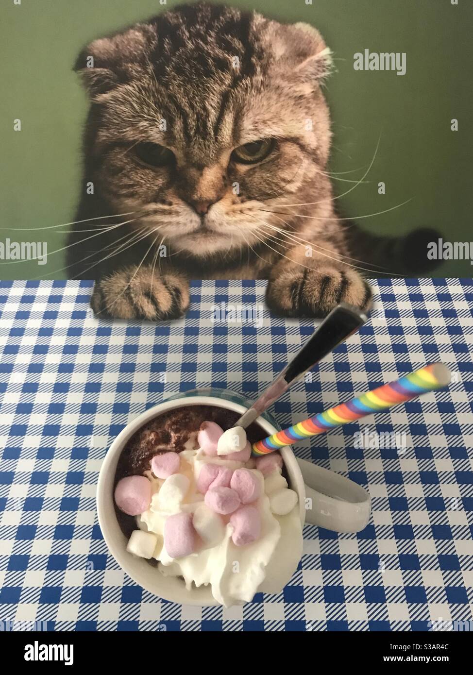A cat looking over a mug of hot chocolate topped with whipped cream and mini marshmallows - Smartphone Captured Stock Image