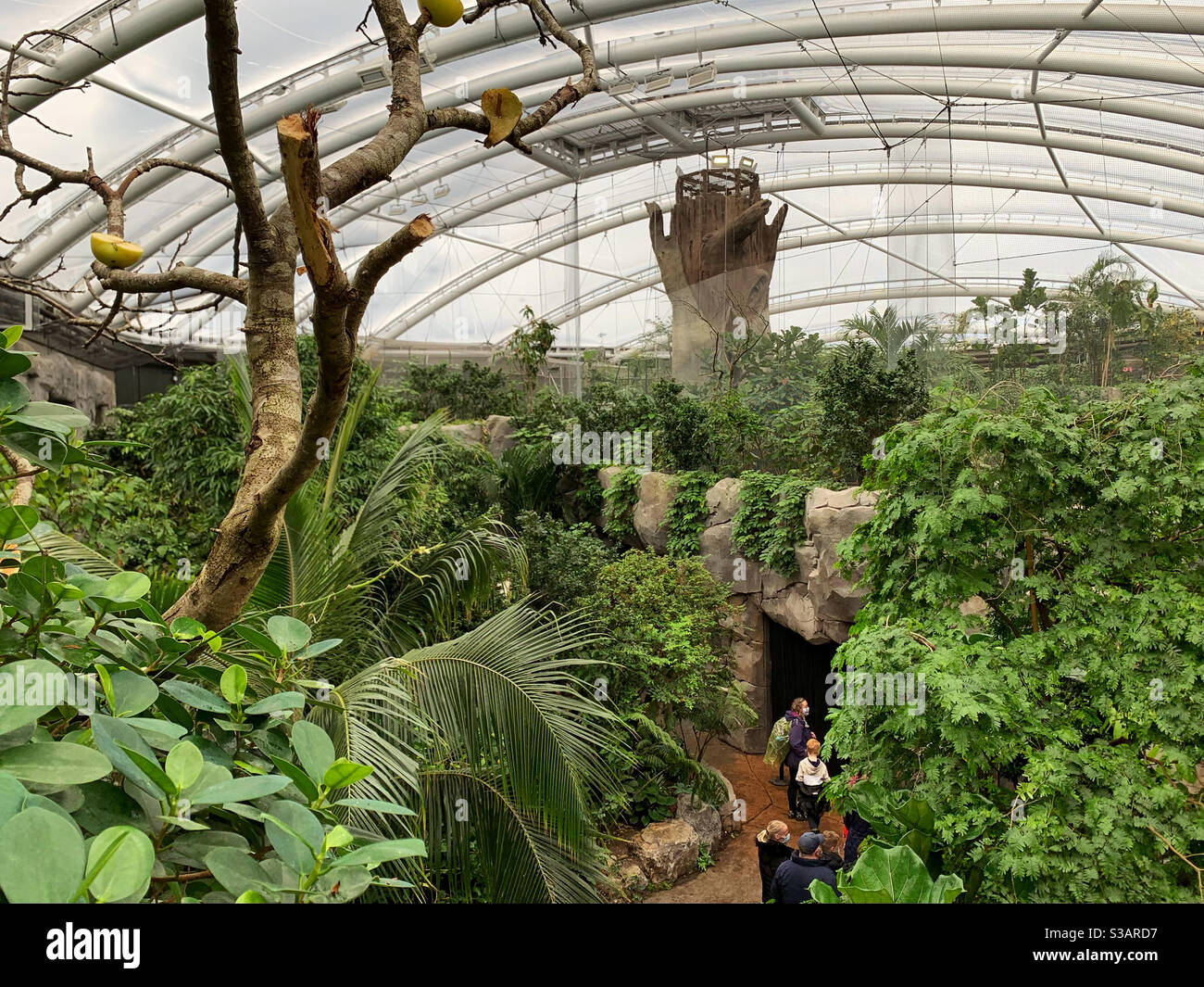 Newly opened Monsoon Forest at Chester Zoo islands 2020. - Smartphone Captured Stock Image
