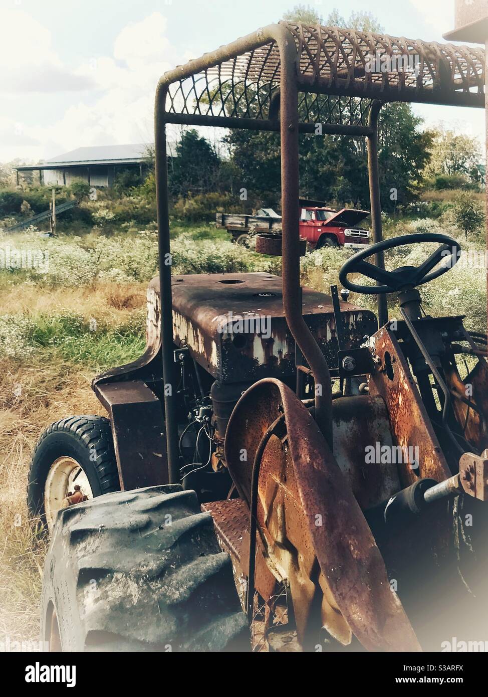 Vintage red dump truck and fork lift in North Carolina field of Frost Asters in Autumn Stock Photo