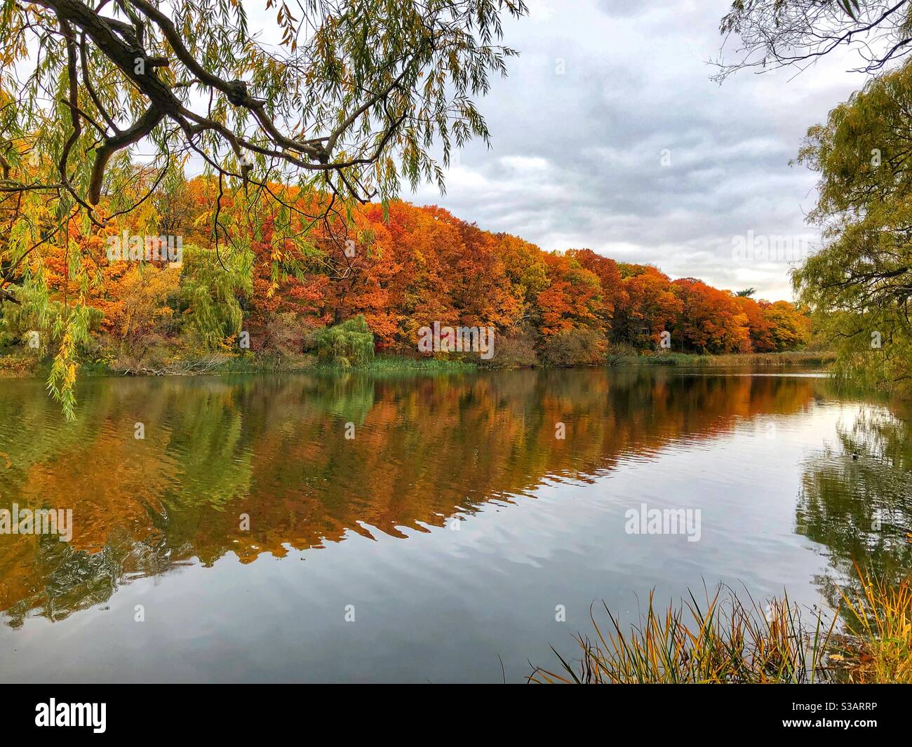 The beautiful autumn colours. Stock Photo