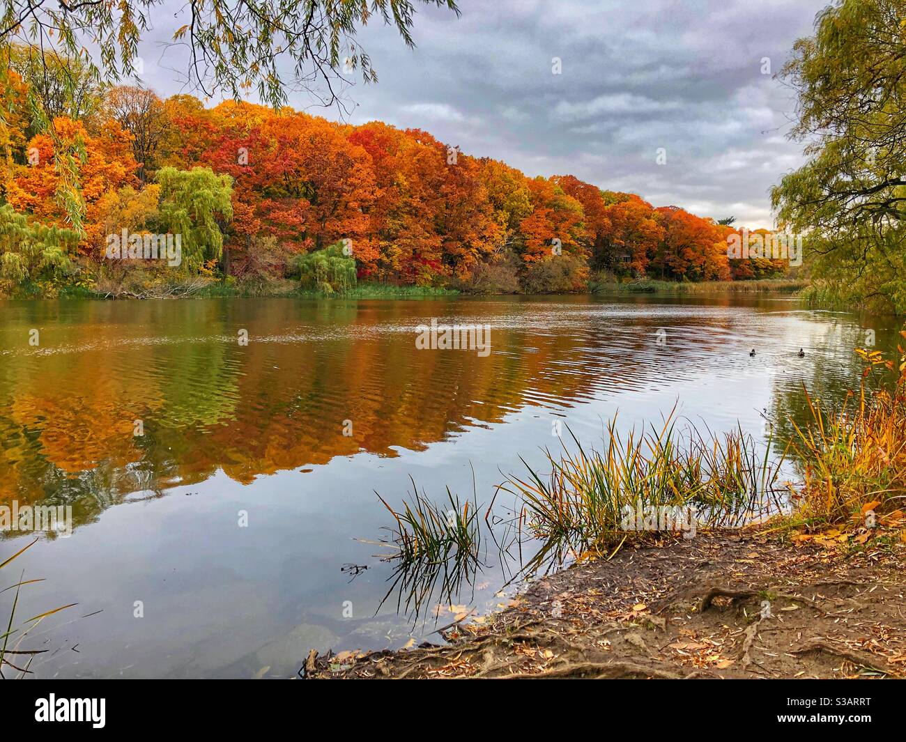 A beautiful autumn landscape. - Smartphone Captured Stock Image