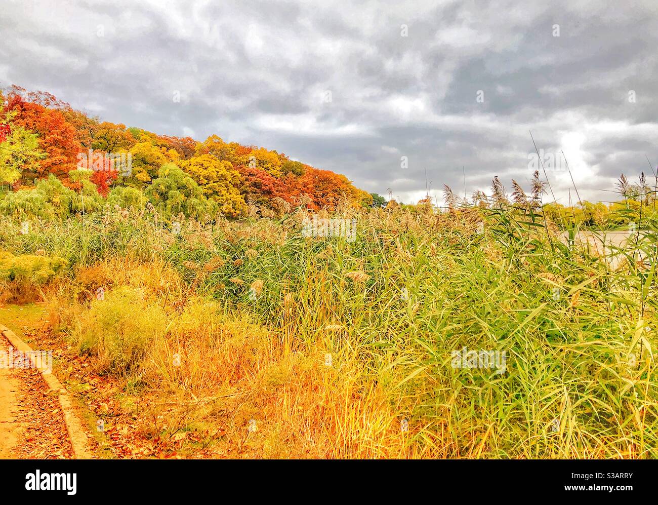 An autumn landscape. Stock Photo