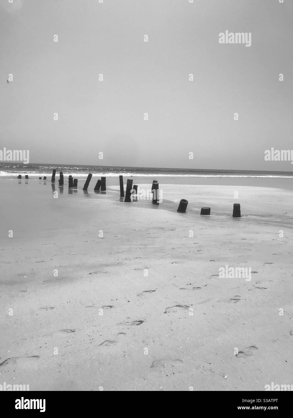 Wooden poles in the water in Salalah, Oman - Smartphone Captured Stock Image