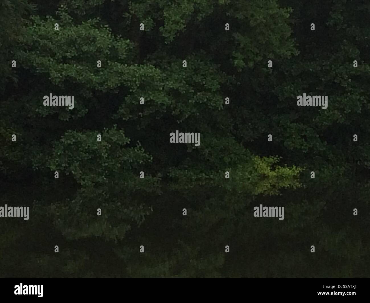 Balance green hi-res stock photography and images - Alamy