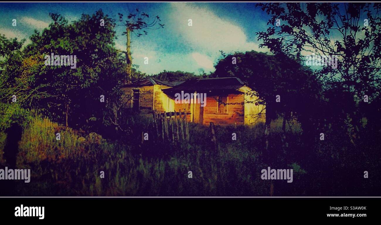 Abandoned wooden house in rural Jamaica. - Smartphone Captured Stock Image