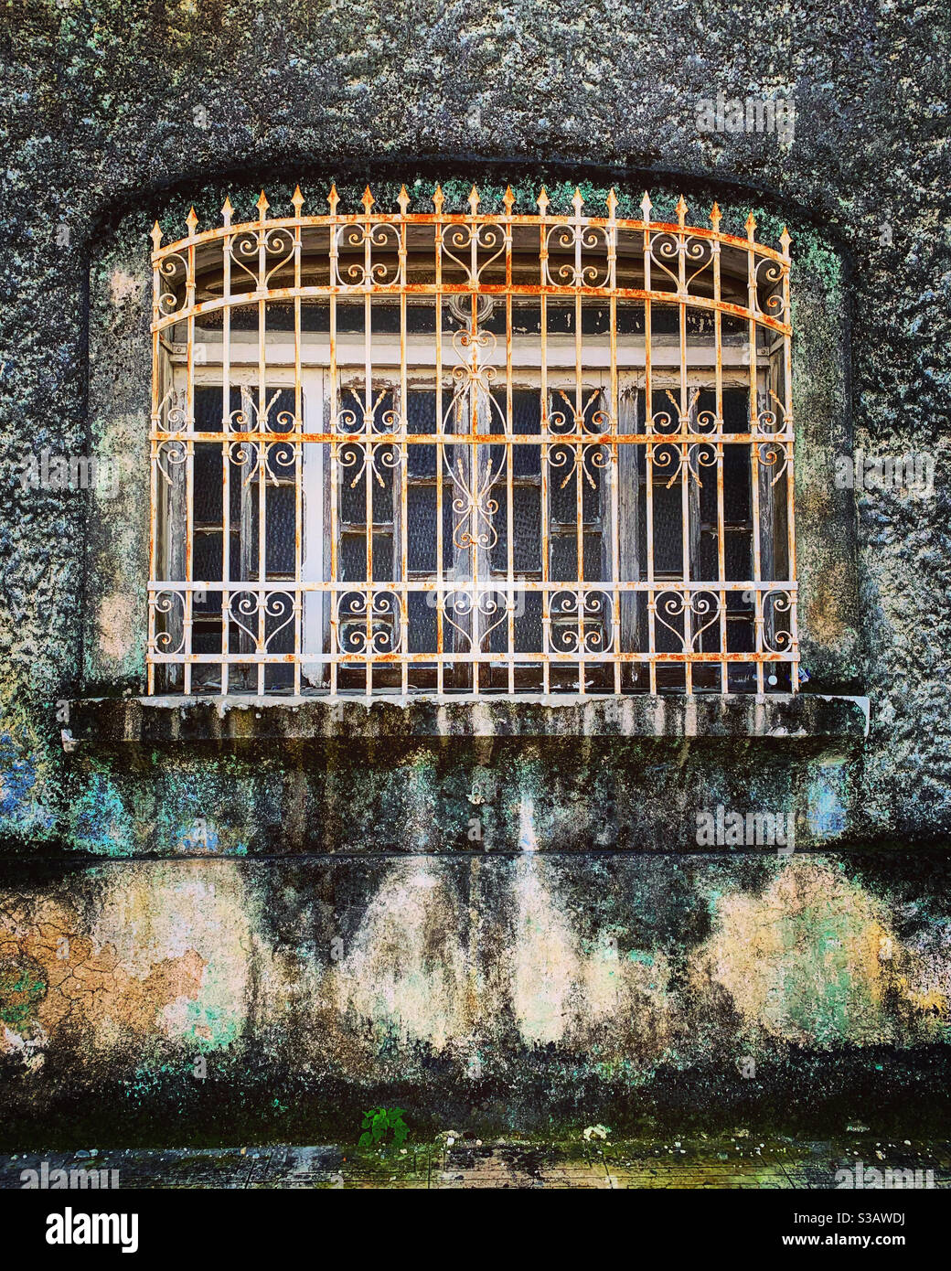 Window , Merida , Yucatan - Smartphone Captured Stock Image