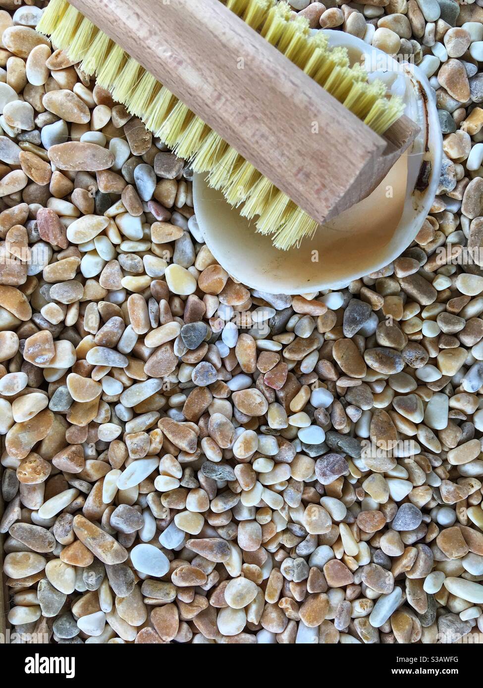 cleaning brush in shell auf stone decoration pebbels Stock Photo - Alamy