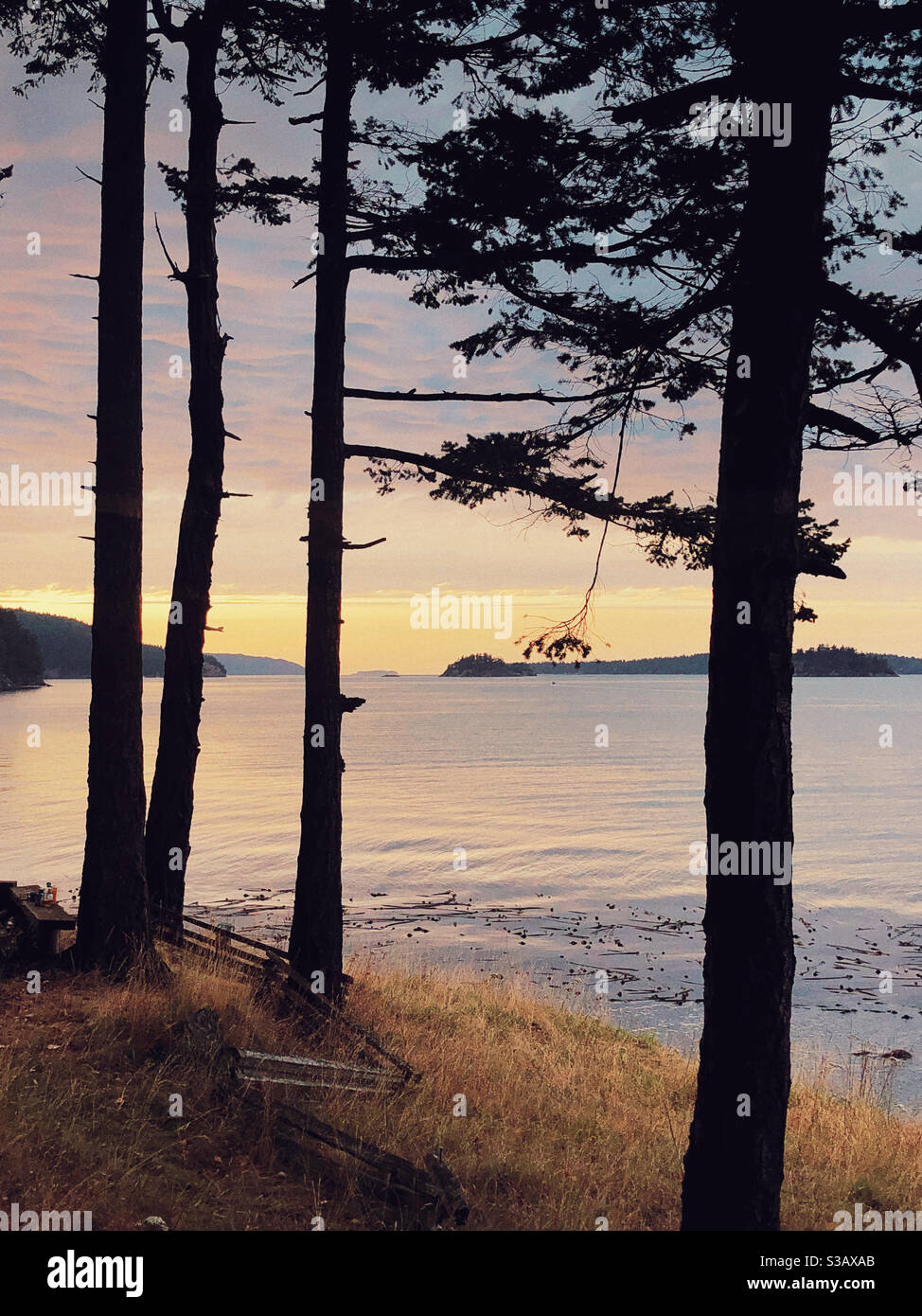 Golden sunset on San juan islands Stock Photo